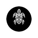 maorimagine-tortue02